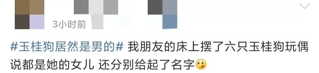 玉桂狗是不是反派,玉桂狗反派角色