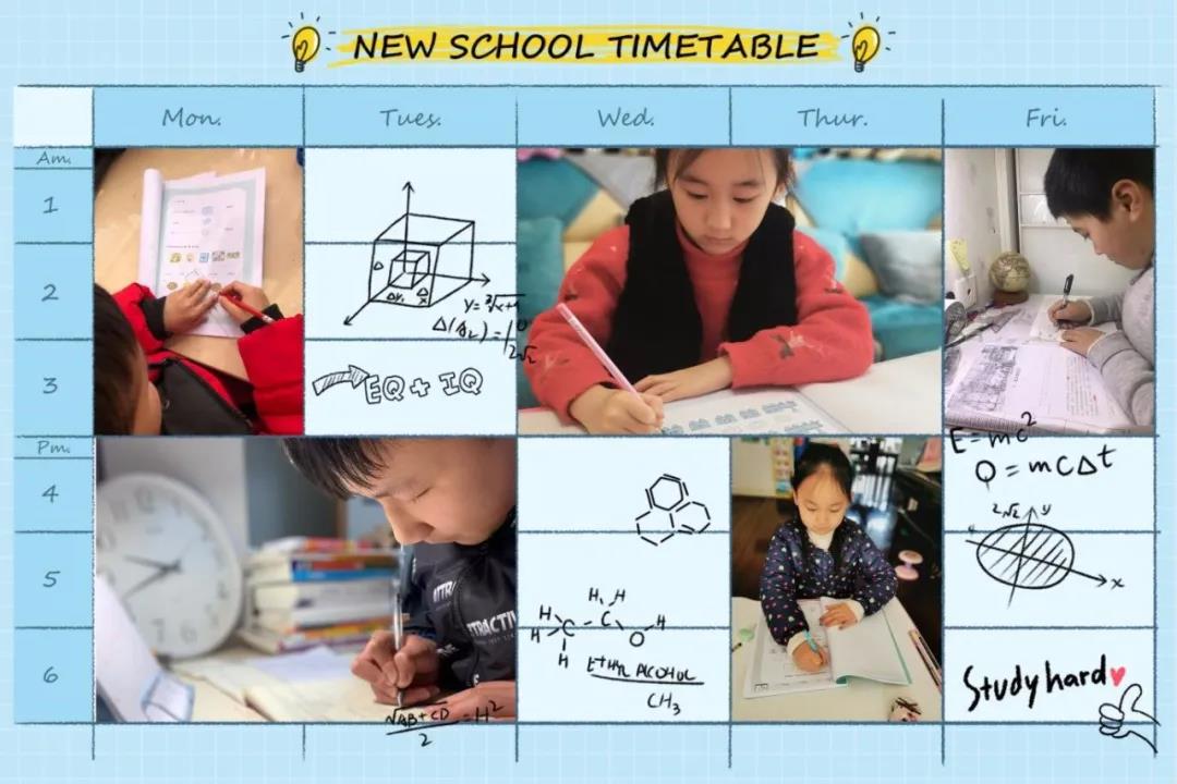 上海上外双语学校教学体系,上外附属宝山双语学校教学如何