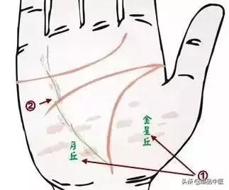 手诊图大全清晰图手背,全息手诊图