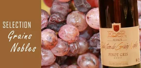 这些葡萄酒界常见的术语缩写,你都认识吗?