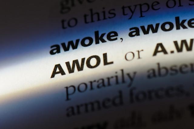 鸽子精英语怎么说,鸽子精啥意思