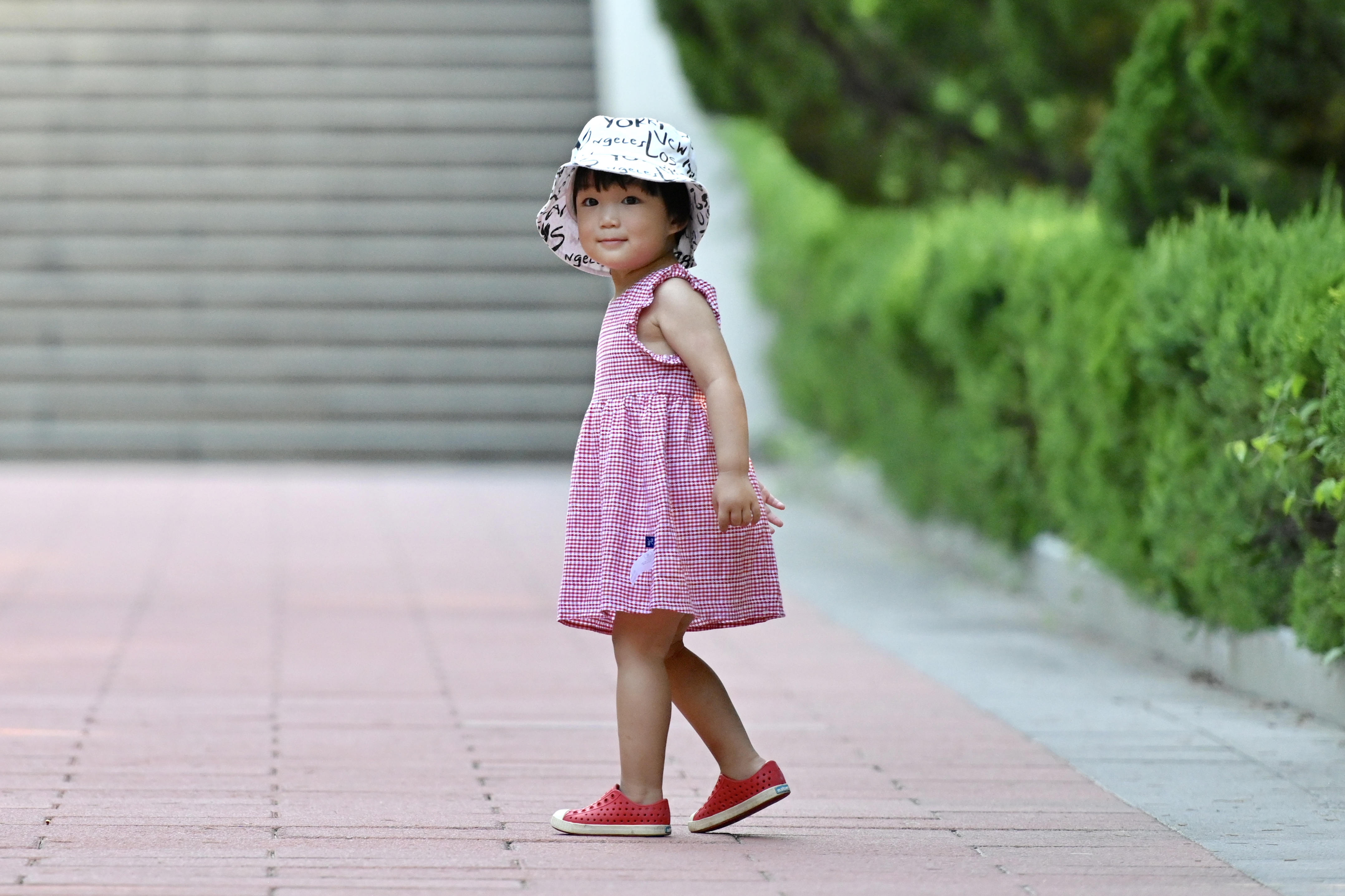 南郊美美,南郊宾馆的风景