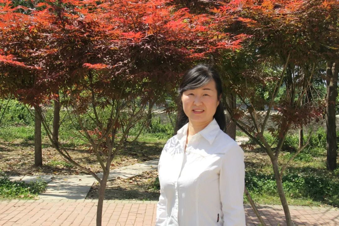 羊山外国语中学2024年招生时间,羊山外国语中学招生热线