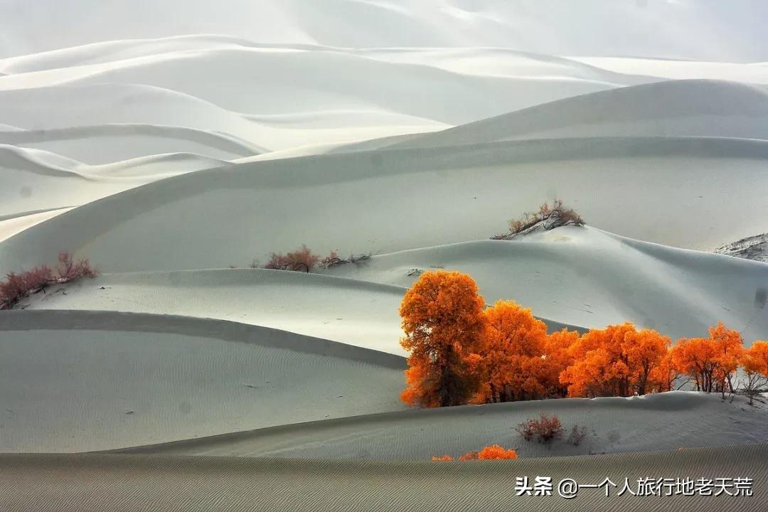 如果你不了解现实你就去看历史,如果你不了解历史就无法展望未来