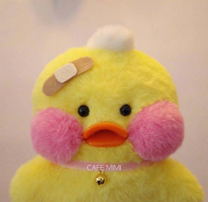 【玻尿酸鸭头像】可爱的鸭子头像