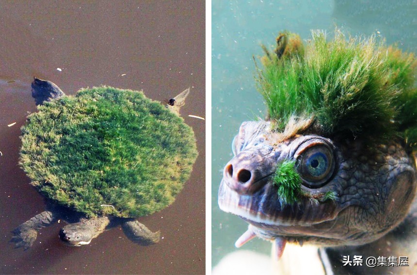 生物学的惊天大秘密,你不可不知的五十个生物学知识