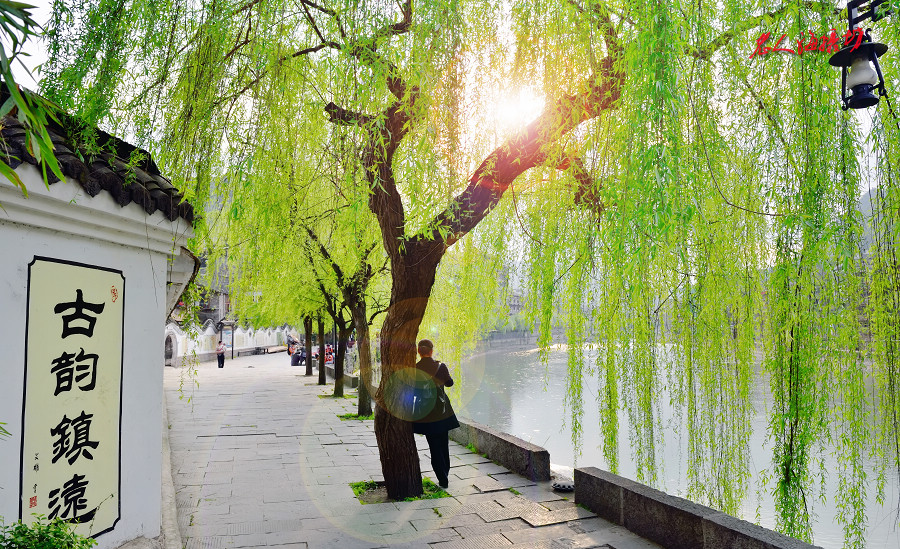 贵州黔东南镇远古镇旅游攻略,黔东南镇远古城一日游