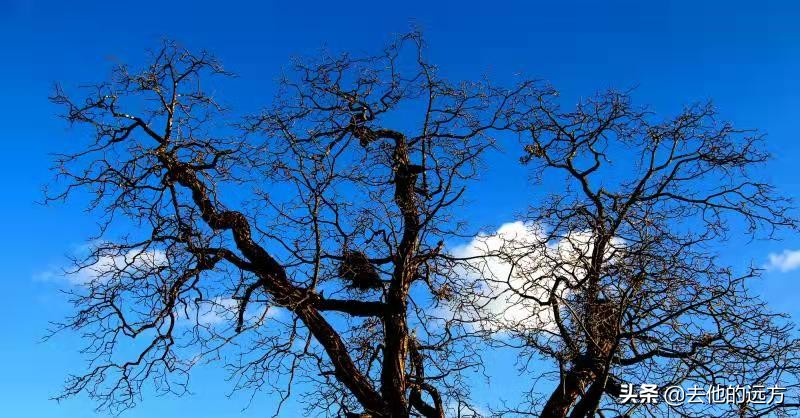 天边的学校,天边的学校51