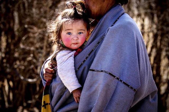 我不是小*藏西**，我是大甘南