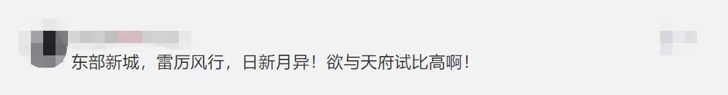 东部新区与天府新区,东部新区和天府新区