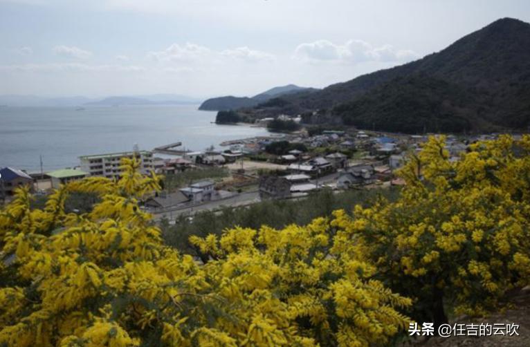 外网测评top1,理光gr测评