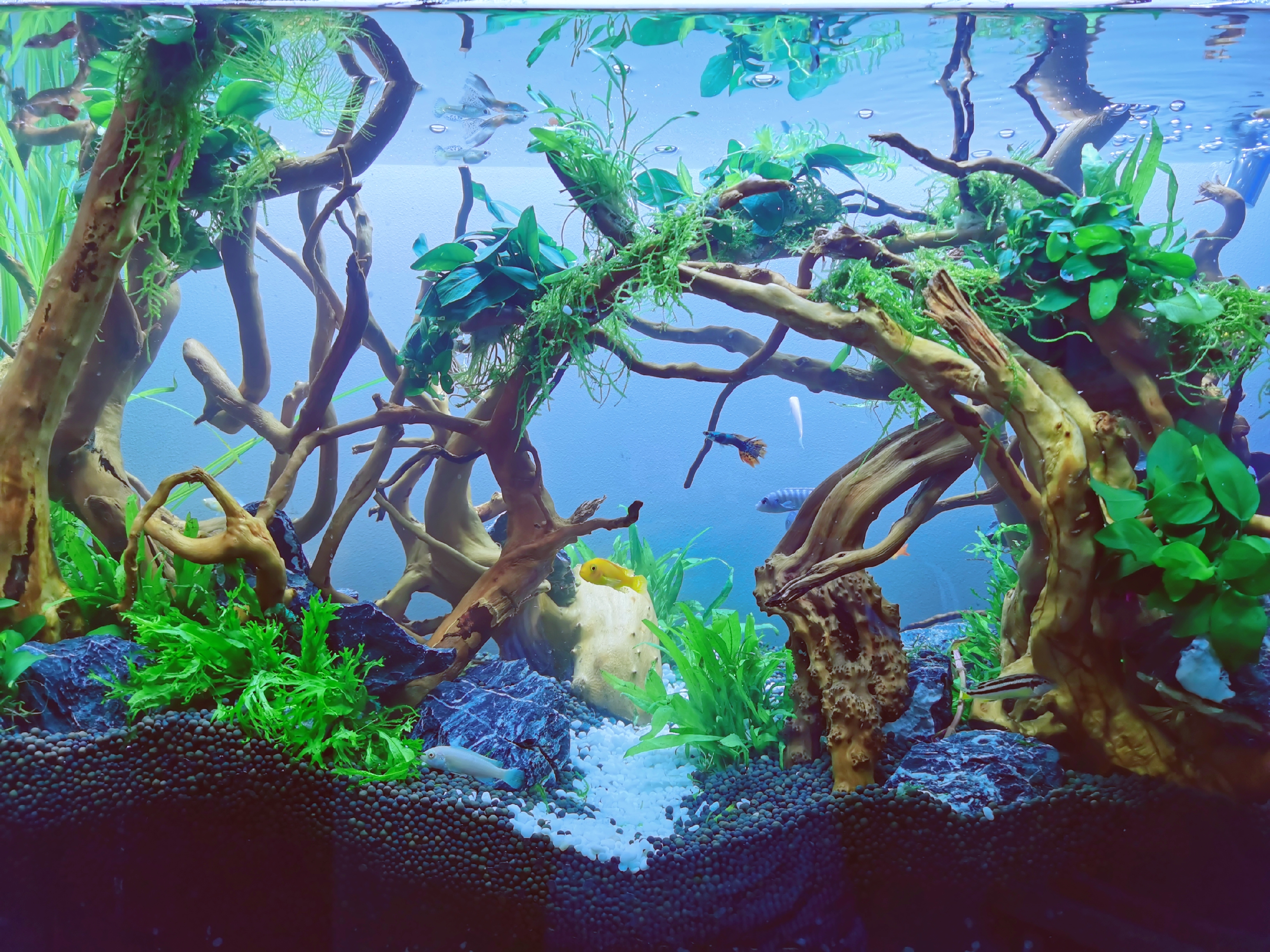 新家软装必买清单推荐,装修软装购物指南