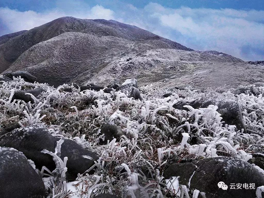 云雾山云遮雾绕，景象万千！重阳节，登高去