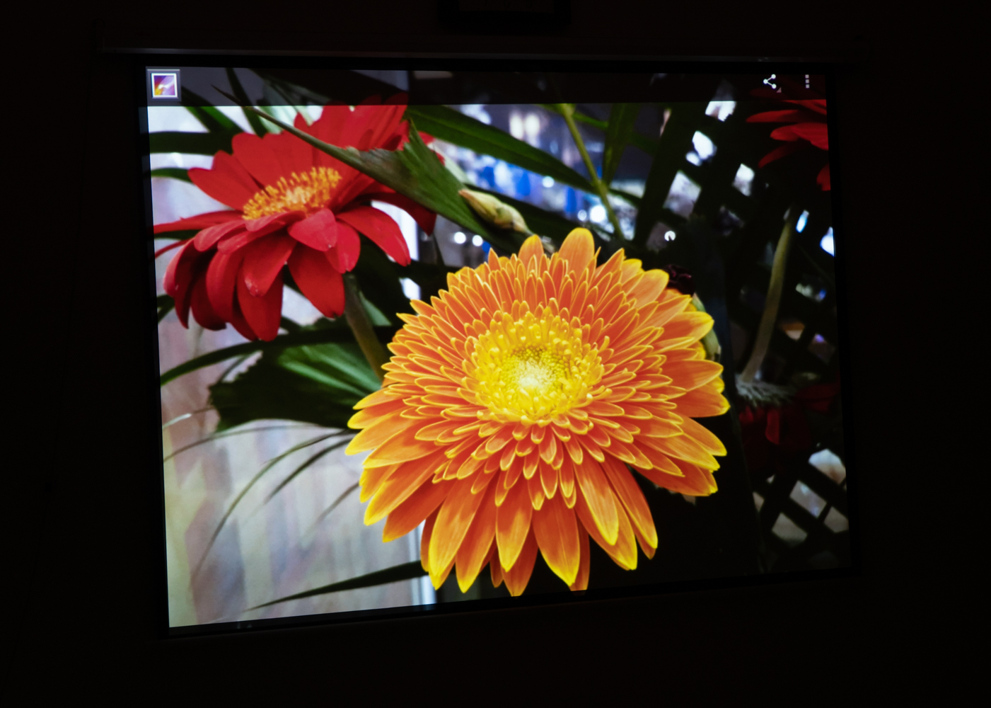 明基e500投影仪换灯泡划算吗,明基e500s投影仪多少钱一台