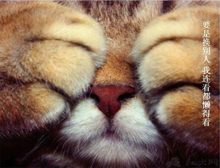 我只想说声爱你,只想再爱你一次