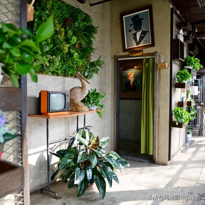 网红餐厅“胡桃里”的绿植布置|行摄