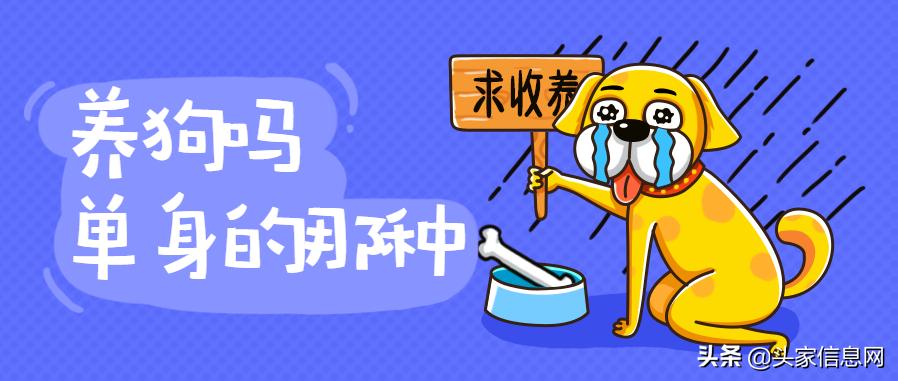 你是选择牵手还是继续当条狗,这么表白,让她感动得一塌糊涂