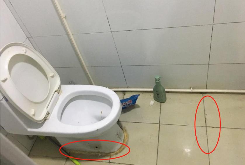 日本的卫生间是怎么样的,日本卫生间干净