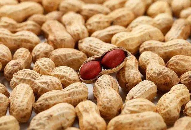 名老中医治疗肾虚耳鸣医案,名老中医谈耳鸣