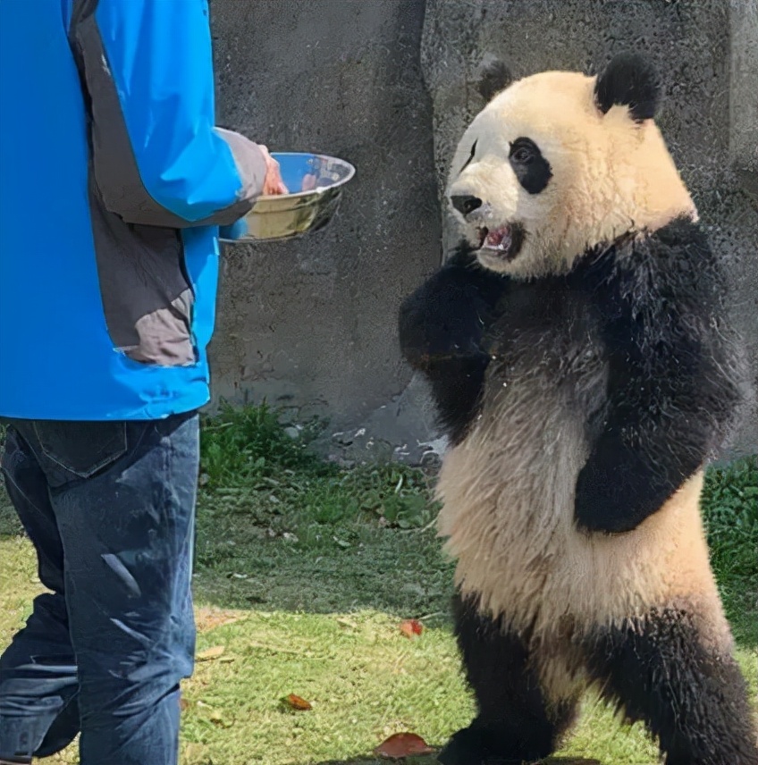 穿搭初秋慵懒温柔,初秋时尚搭配流行趋势