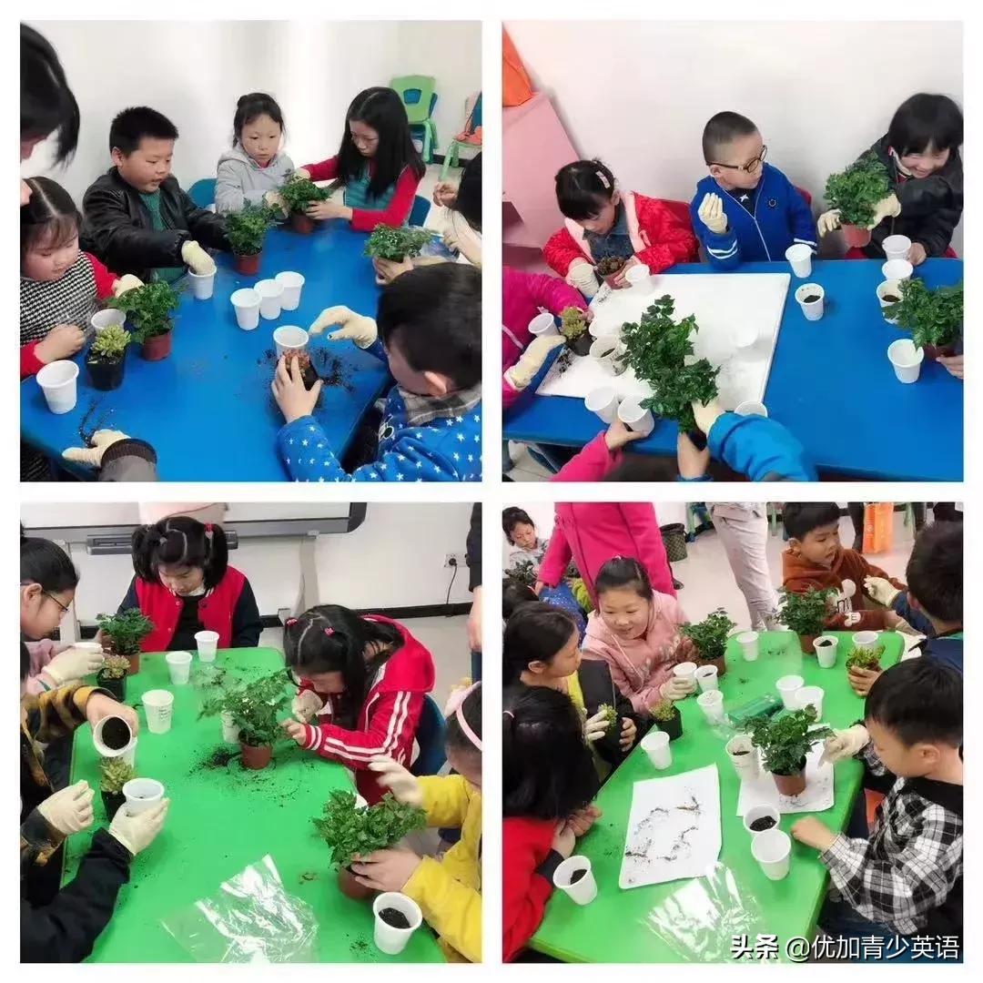 植树节播撒梦想厚植希望,植树节拥抱春天播种绿色放飞希望