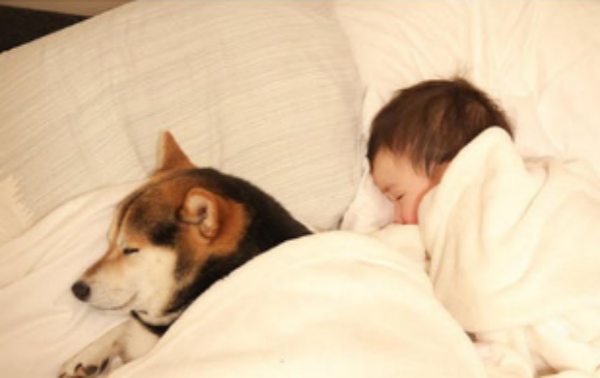 会流动的名字怎么取名好听,取名大气的名字大全