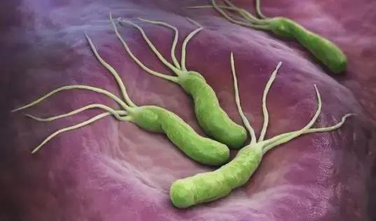 口臭口腔异味不容忽视,口腔细菌引起口臭