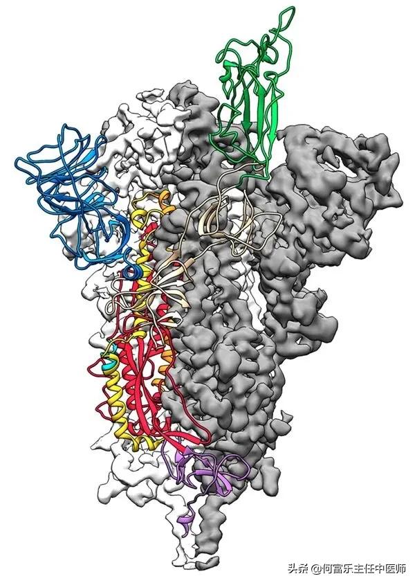 千金藤素消息,千金藤素澄清