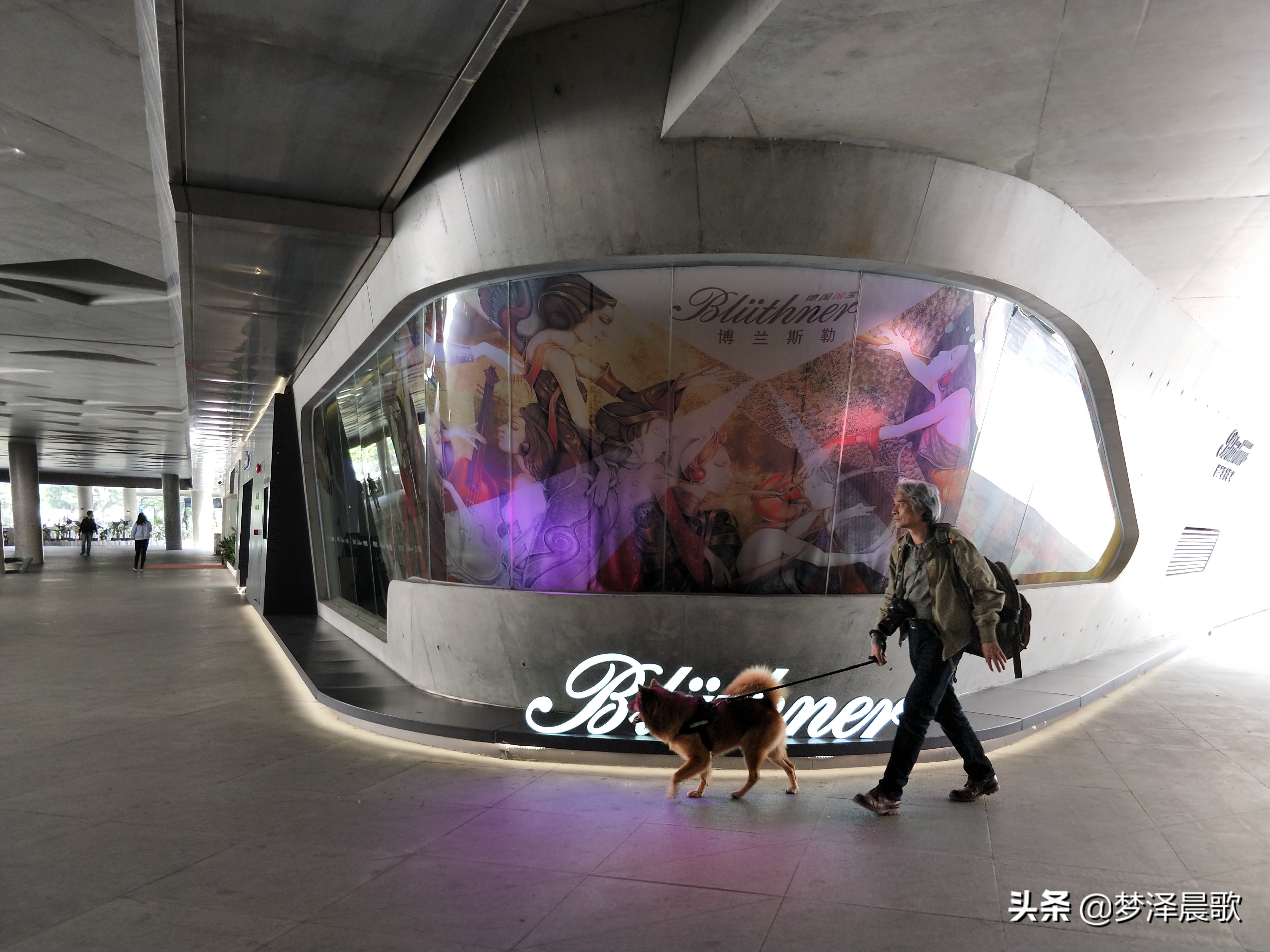 世界十大歌剧院,世界十大歌剧院有哪些歌剧