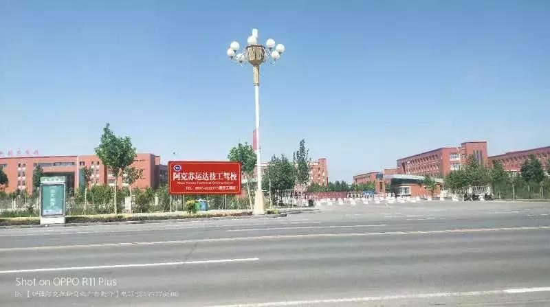 驾校免费学车有什么要求,驾校免费学驾照