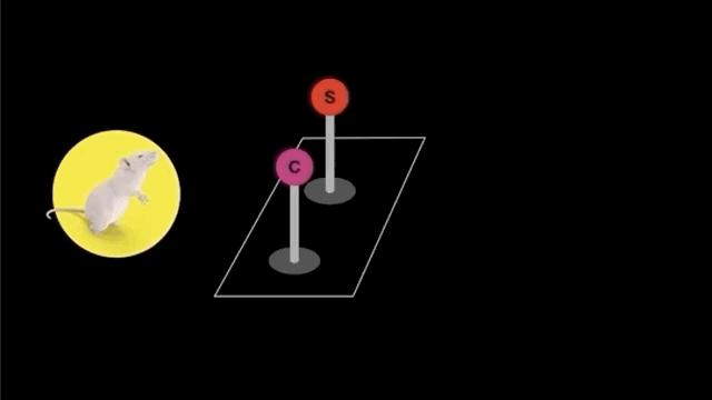 七种方法让你戒掉糖瘾,糖无处不在如何戒糖