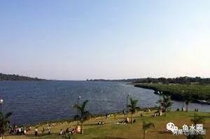 三湖鱼简介,三湖鱼是哪些湖的