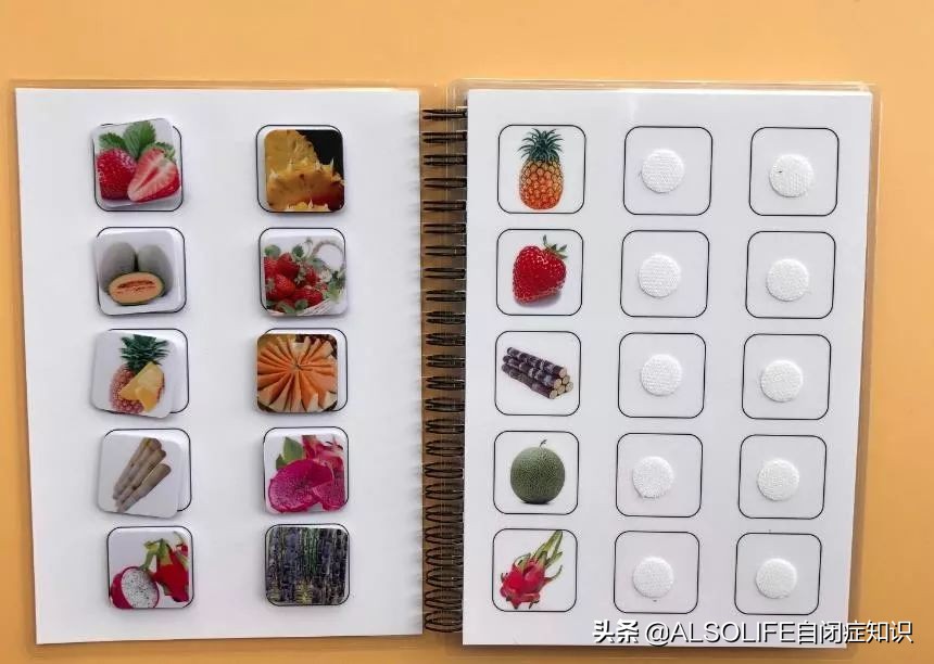 一整个切块的苹果,把一个苹果切成两半体积有变吗