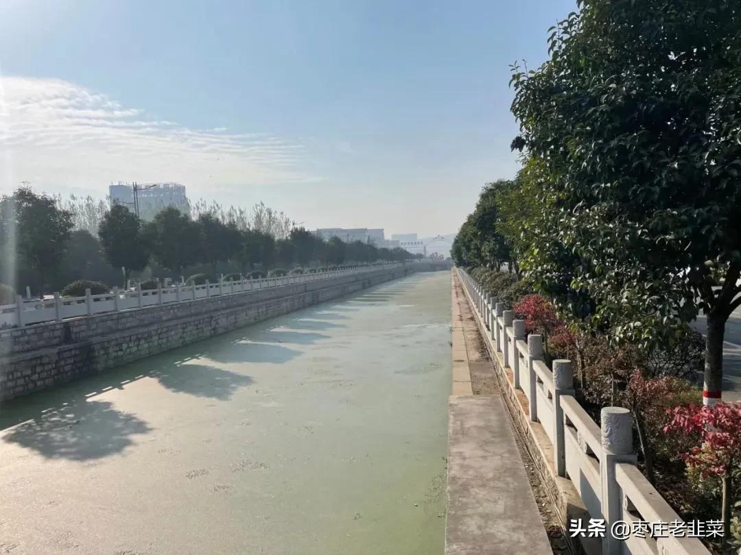 高新实验中学扩建二期,高新实验学校和中科实验学校