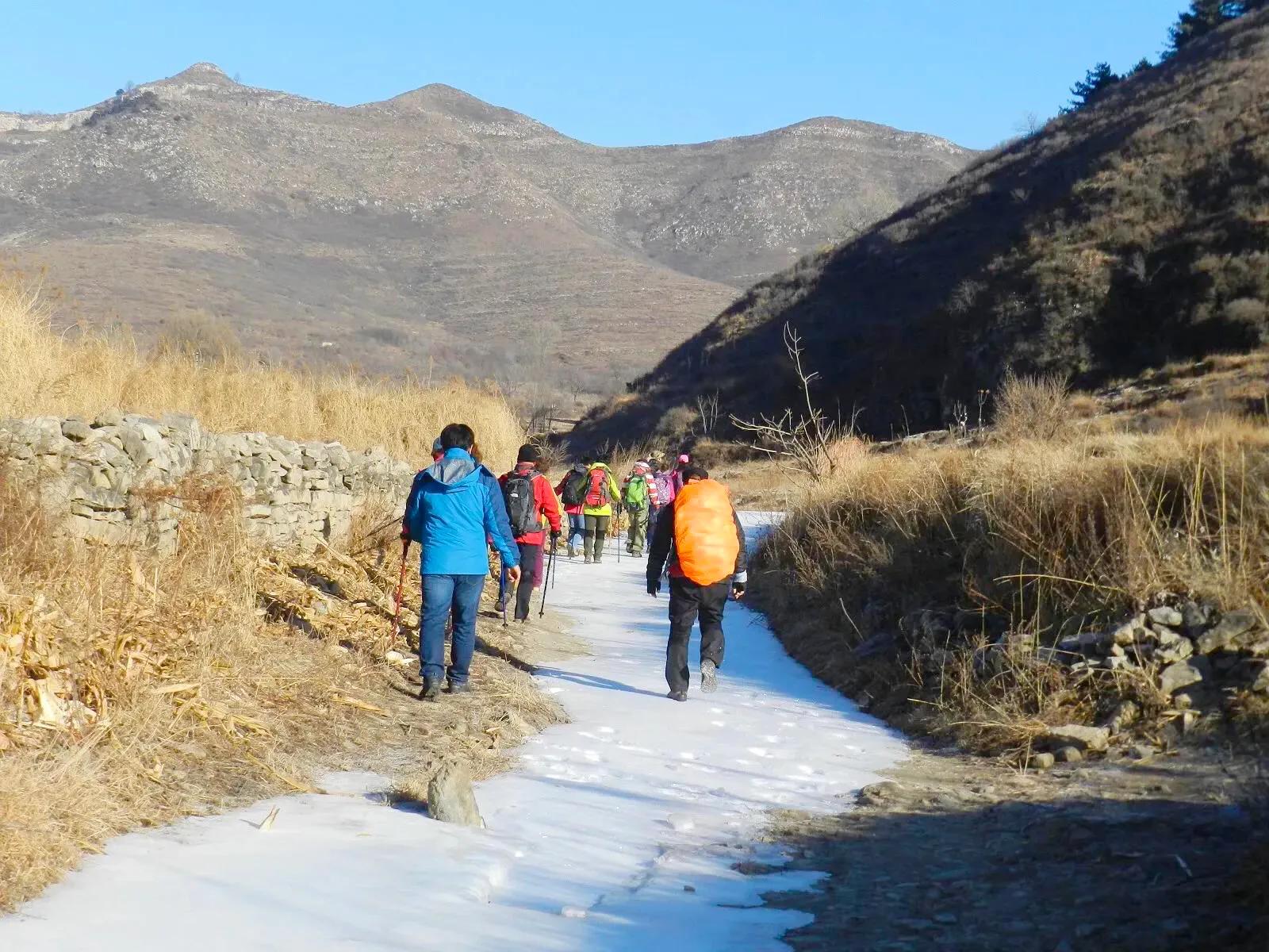 在山里迷路遇到狐狸,在山里迷路遇到了好漂亮的小姑娘