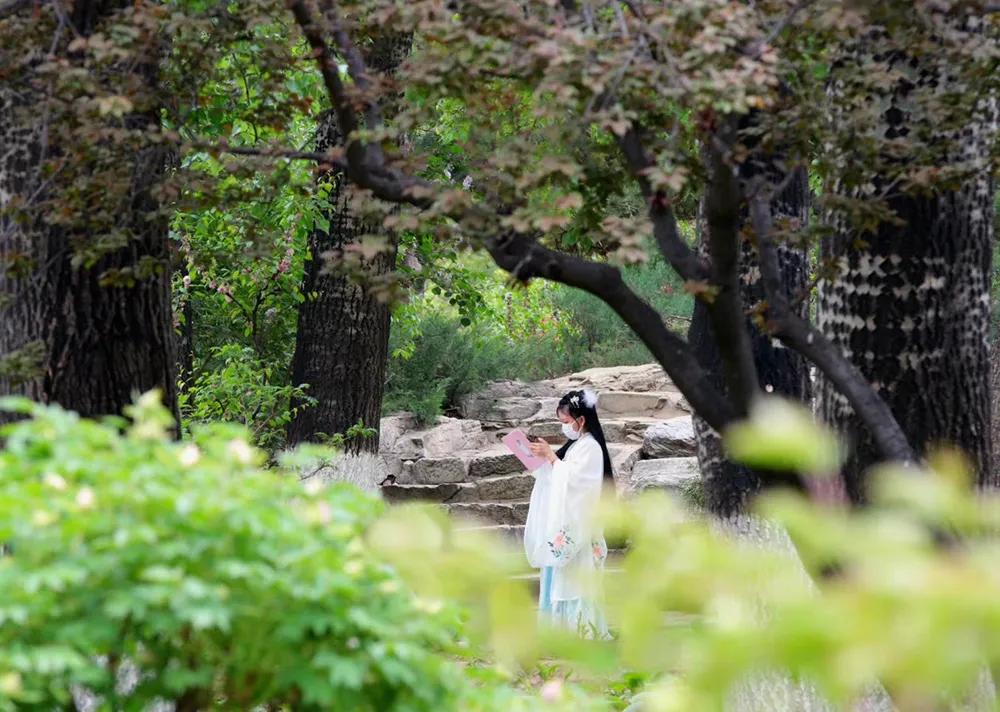 四月发生的事,东城发生的事