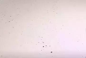 回南天湿气重吃什么药好,回南天天气湿气太重了