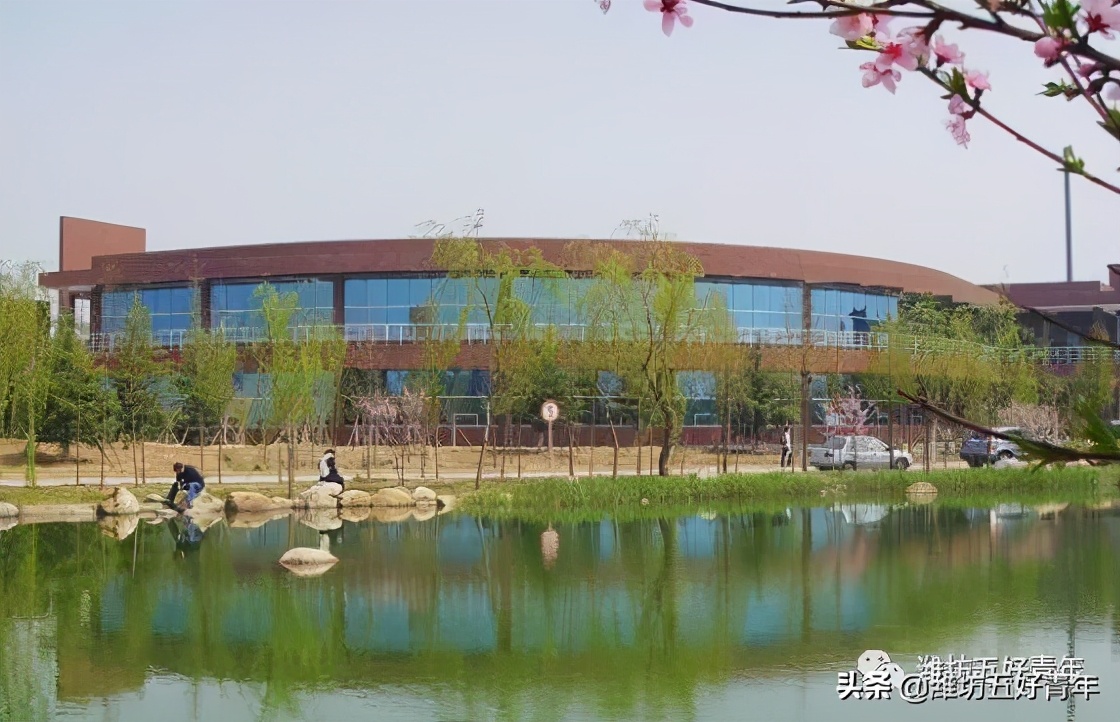 山东潍坊第一中学校址,山东省潍坊第一中学全员本科