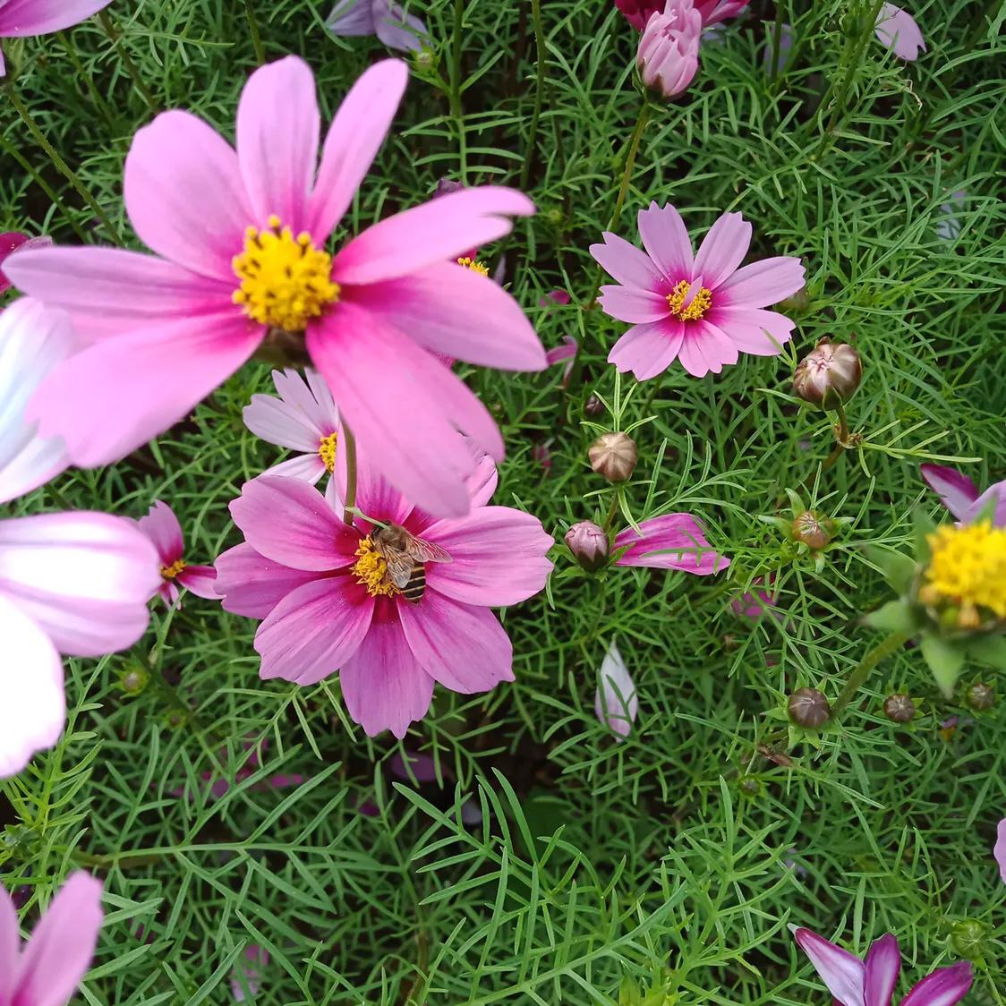 支付宝上的相互宝靠谱吗,支付宝里面的相互宝互助是真的吗