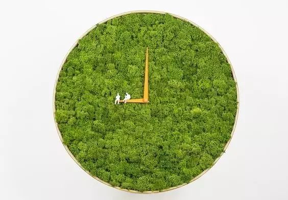 置爱|植物1.0是种在盆儿里的,植物2.0都趴在墙上的