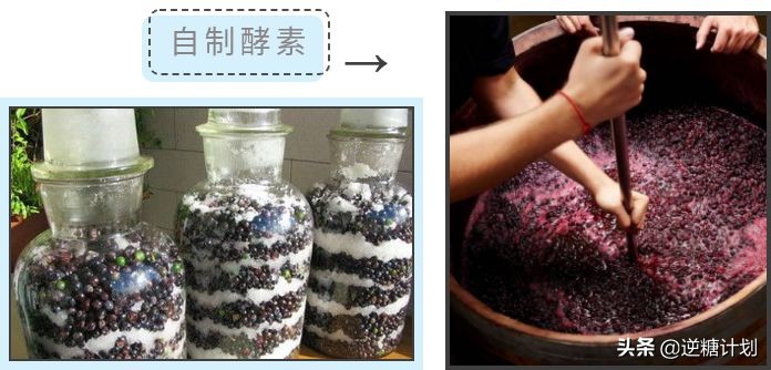 焦点访谈神奇的酵素你还信吗,酵素辟谣焦点访谈