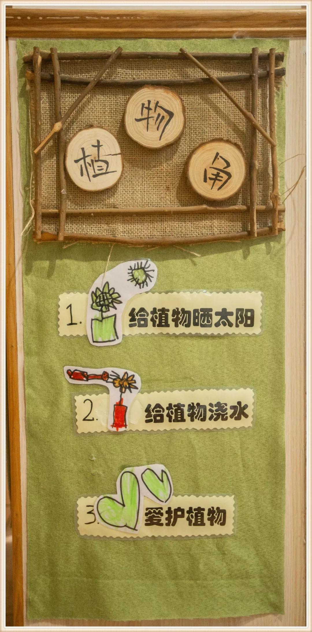 幼儿园大班地球小卫士环境创设,大班神奇的大自然环境创设