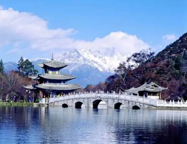 佛山顺德四小虎,四小虎之一顺德