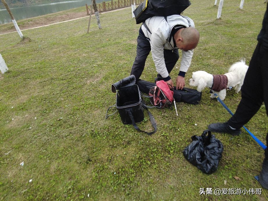四川邛崃市自驾游露营地,邛崃市羊安街道程河坝露营地
