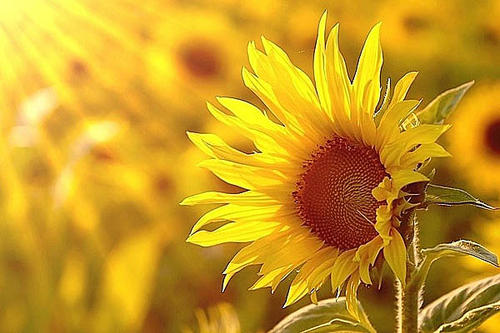 很冷很冷的冷知识一年级,27个让你脊背很冷的的猎奇冷知识