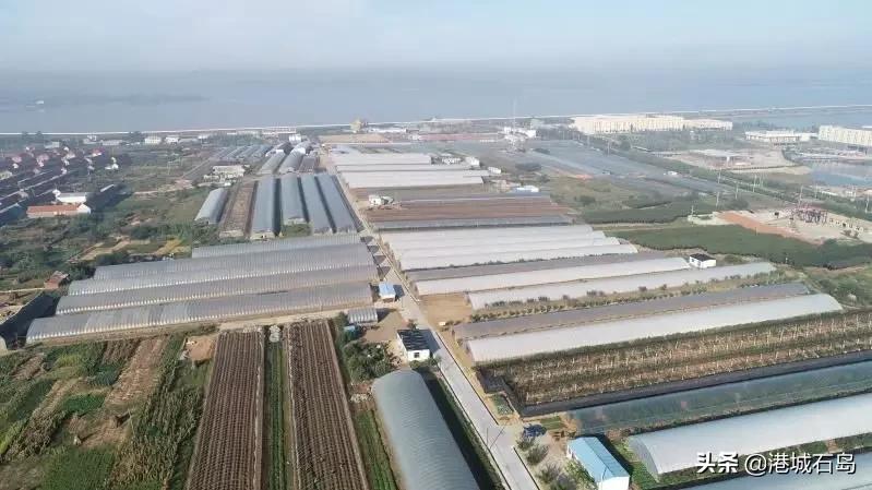 石岛即将开发的项目,石岛的项目