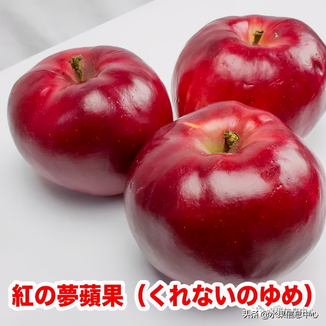 进口水果生意年入千万,批发水果月入百万