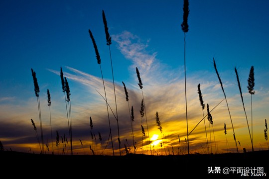 5个让人惊艳的摄影技巧,6个日常必学摄影技巧