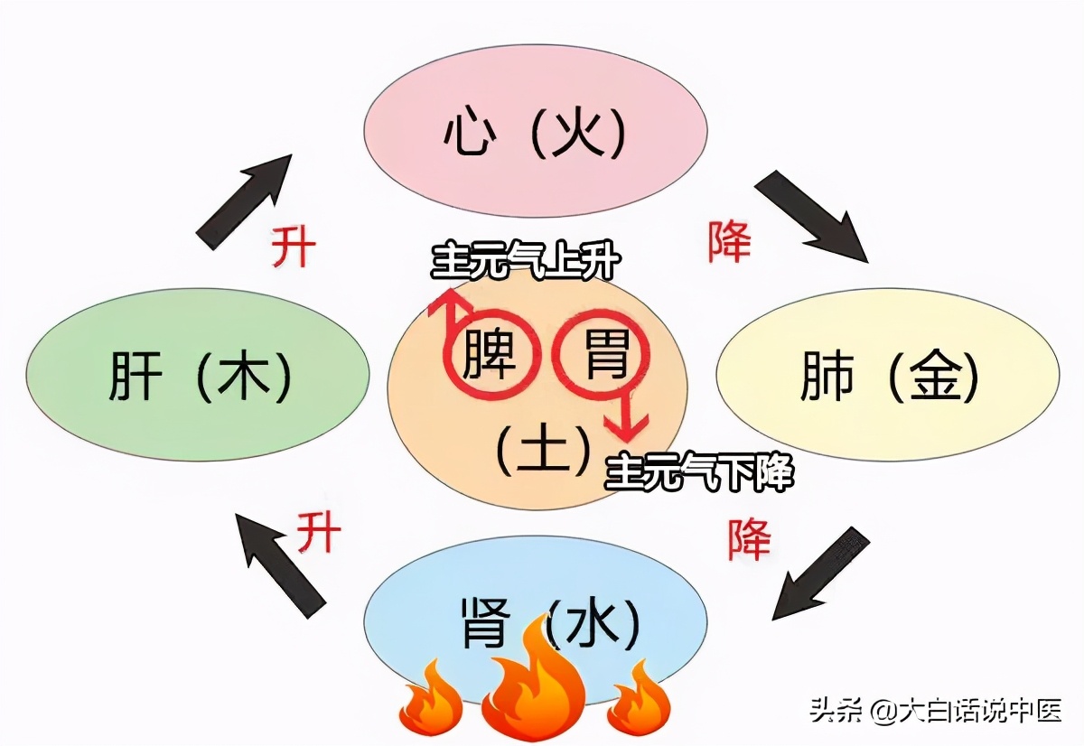 大白话说中医第七十九集,大白话说中医第十九期