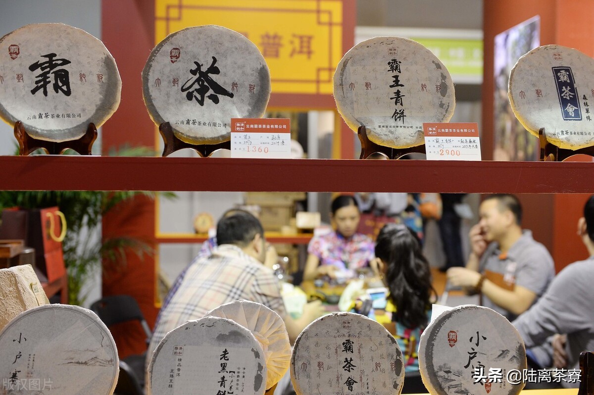 普洱茶经典茶术语大全集,普洱茶知识与茶文化